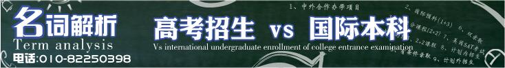 国内招生vs国际本科